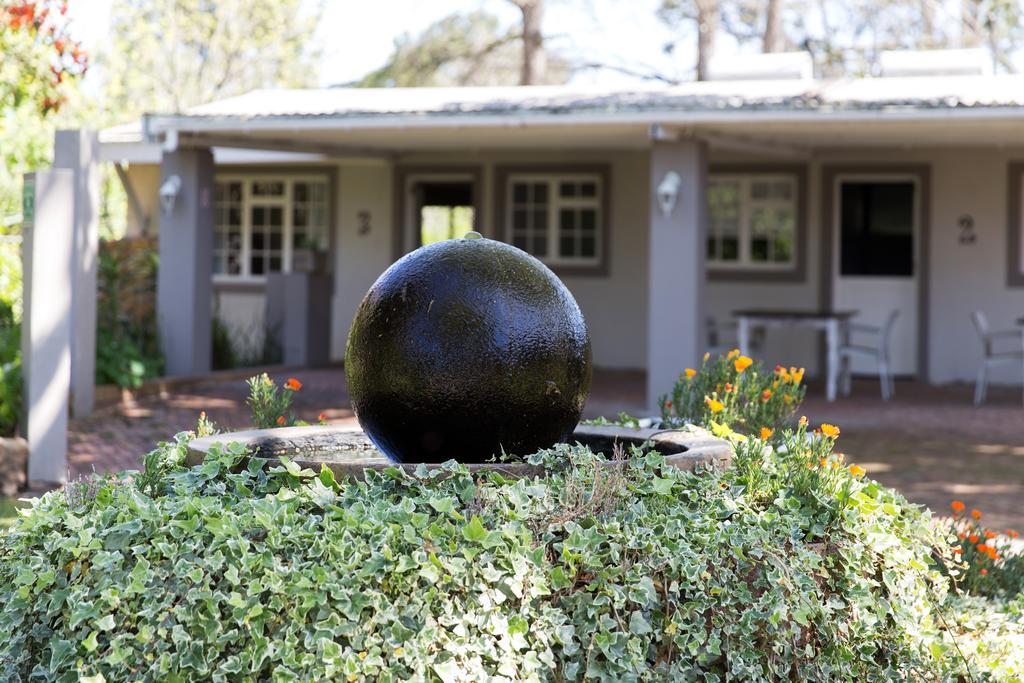 Nuwerus Lodge Paarl Ngoại thất bức ảnh